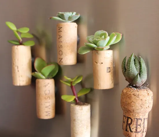 Cork planter magnets. (Courtesy of Upcycle That)