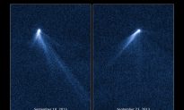 Asteroid With 6 Comet-Like Tails First for NASA