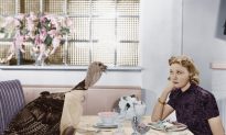 7 Super Awkward Thanksgiving Stories