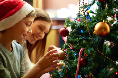 Eco-Friendly Christmas Trees: 8 Greener Options