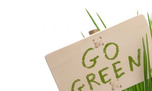 Some Green Products Not Really So Green 