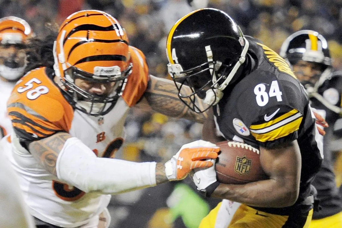 Pittsburgh Steelers wide receiver Antonio Brown (84) makes a touchdown catch in front of Cincinnati Bengals middle linebacker Rey Maualuga (58) in the first quarter of an NFL football game in Pittsburgh on Dec. 15, 2013. (Don Wright/AP Photo)