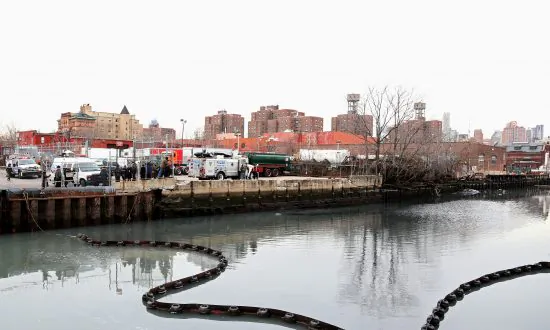 Gowanus Community to Set Development Goals