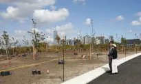 Governors Island to Open Daily in 2014