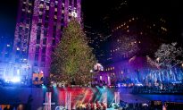 Rockefeller Center Christmas Tree Coming From Pa.