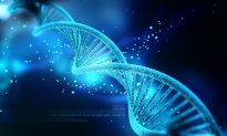 DNA Nanotechnology the Future of Modern Medicine?