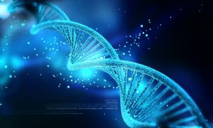 DNA Nanotechnology the Future of Modern Medicine?