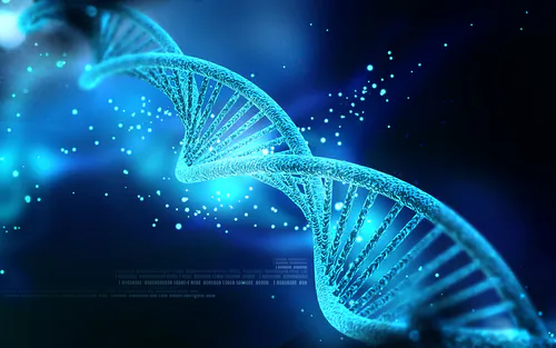 DNA Nanotechnology the Future of Modern Medicine?