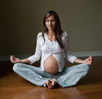 Mental Imagery and Pregnancy