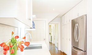 Kitchen Reno on a Small Budget 