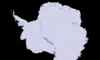 Australia Must Keep ‘Eyes Wide Open’ on China’s Antarctic Claim