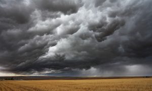 5 of the Craziest Science Facts Out There, Part 2