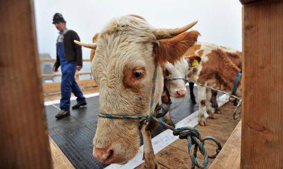 7 Headlines You Won’t Read Anywhere Else Today: Dec. 28