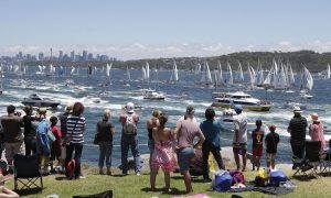 Sydney to Hobart Yacht Race Will Continue Despite the Virus Outbreak
