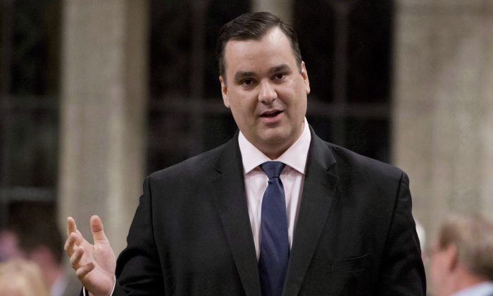 Industry Minister James Moore speaks during question period in the House of Commons on Dec. 18, 2013. The government says it will move to put a cap on domestic wireless roaming rates charged by big telecoms. (The Canadian Press/Adrian Wyld)