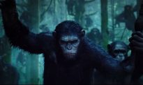 Dawn of the Planet of the Apes: Teaser Trailer Indicates War Between Humans, Apes