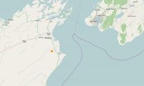 4.7 Earthquake Hits Near Seddon, New Zealand