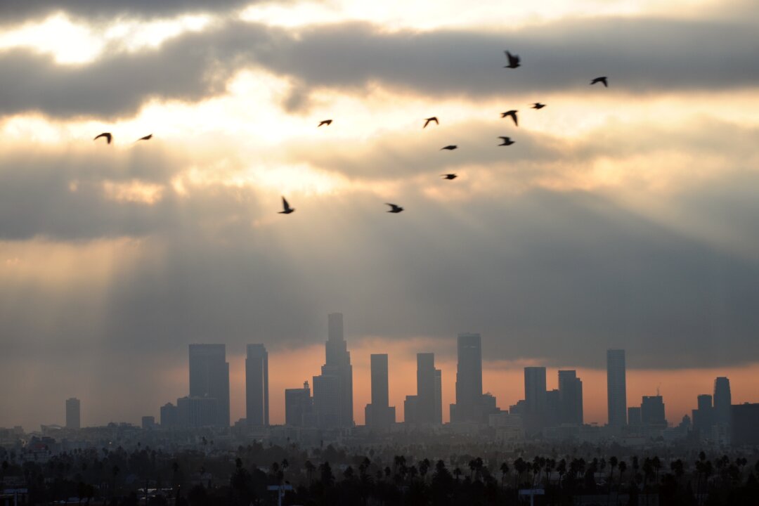 Birds fly across the sky at daybreak over the downtown Los Angeles skyline Dec. 2011. Los Angeles has the worst ground level ozone pollution in the country, according to a report by the American Lung Association. New York came in 17 on the list. (Frederic J. Brown/AFP/Getty Images)