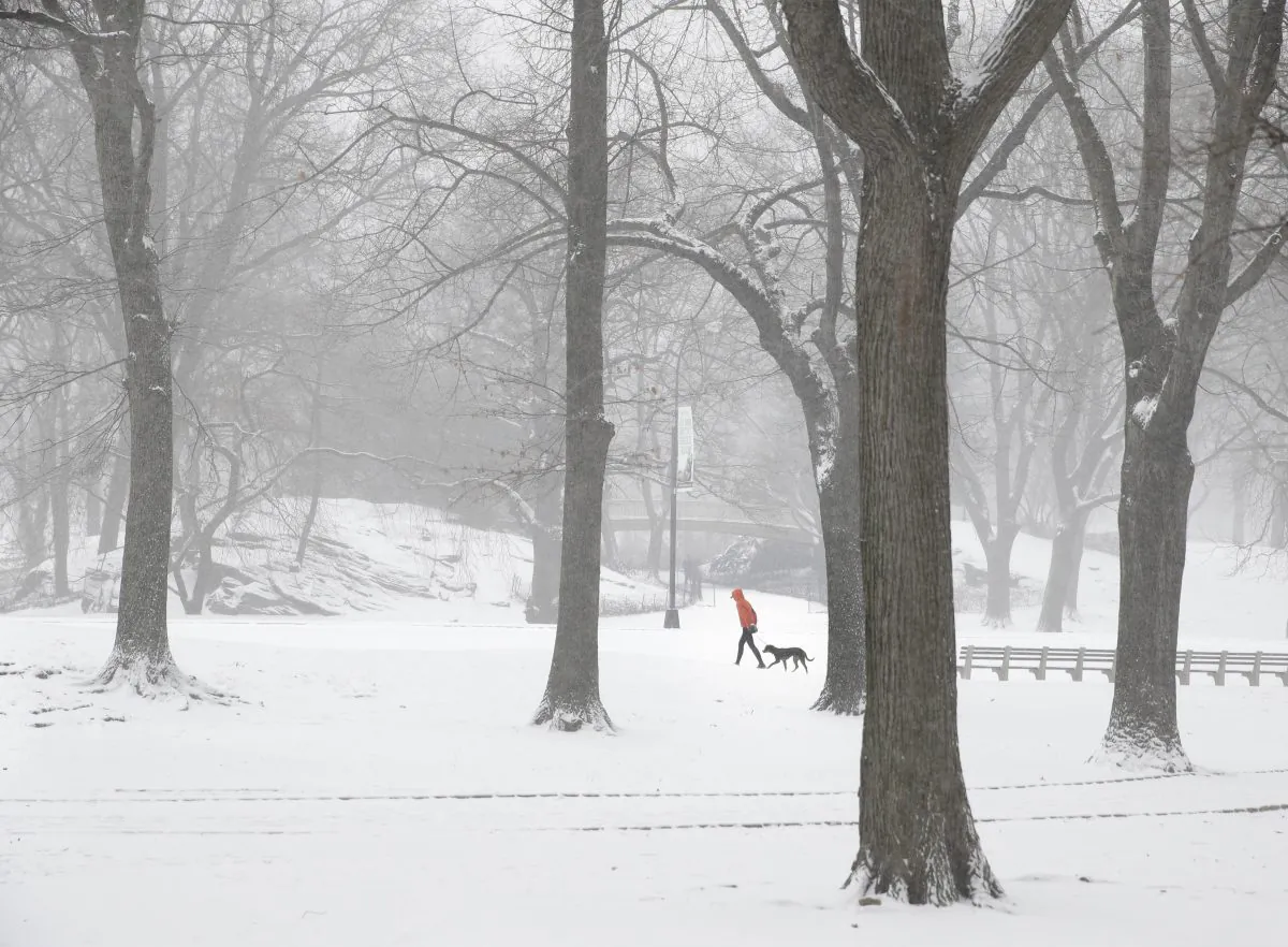 A person walks a dog through snowy Central Park in the Manhattan borough of New York on Tuesday, Jan. 21, 2014. (AP Photo/Seth Wenig)