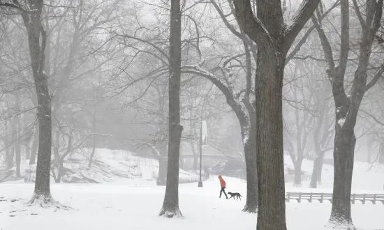 New York Snowstorm: MTA Cautions Passengers to Stay Home on Tuesday