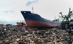 2013: The Year in Extreme Weather