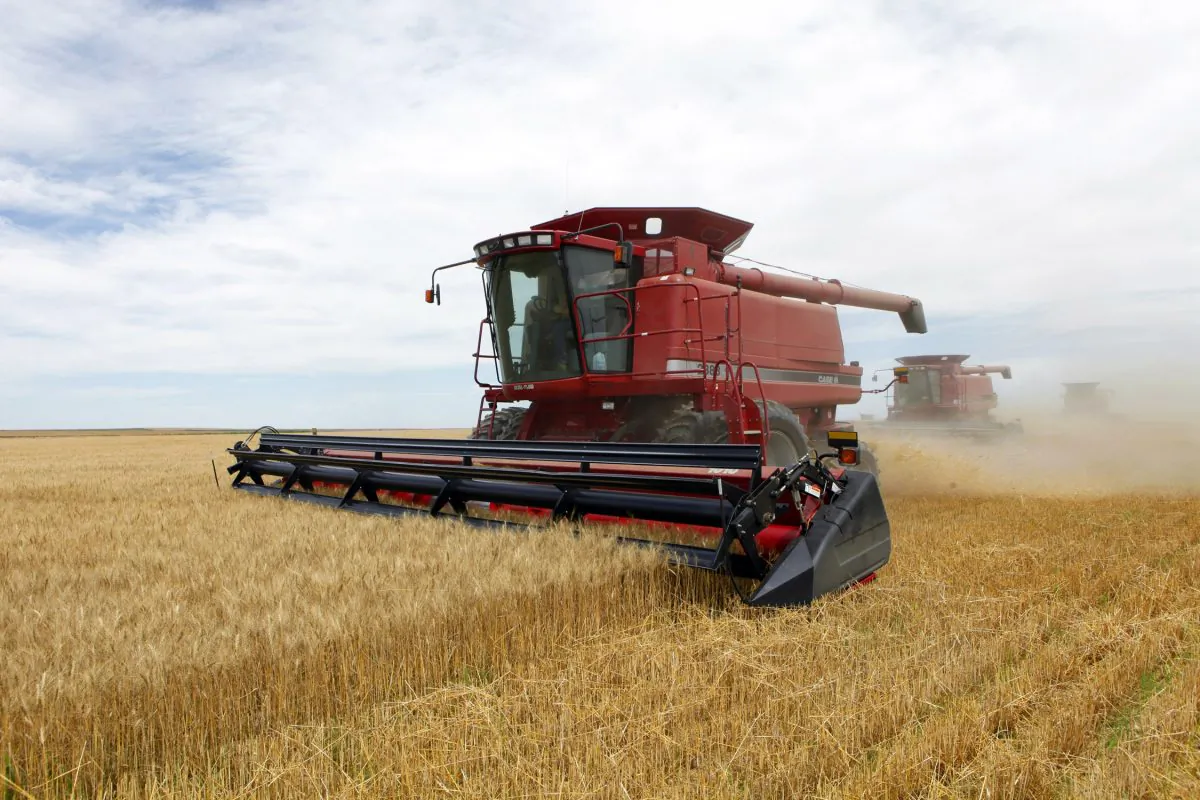 Three combines harvest the winter wheat on a farm near Roggen, Colo. on July 9, 2009. (Ed Andrieski/AP Photo)