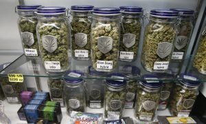 Cannabis-Related ER Visits Tripled in Colorado After Legalization, Study Says