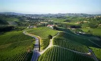 A Wine of Kings: Barolo Cannubi