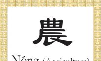 Chinese Character for Agriculture: Nóng(農)