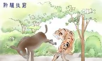 The Donkey Has Exhausted Its Tricks