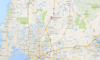 Curtis Reeves, Retired Cop, Named as Suspect in Wesley Chapel, FL Movie Theater Shooting