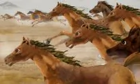 Thousands of Horses Galloping Ahead
