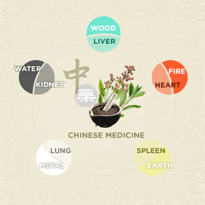 The Five Elements and the Five Tastes