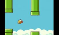 Pirate Bay Filling with Flappy Bird Torrents for iOS, Android