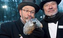 Groundhog Day 2014 Special Coverage: Living the Dream in Punxsutawney