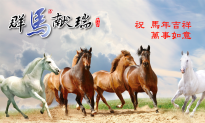 Chinese New Year 2014: Year of the Horse