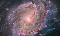 Southern Pinwheel Spiral Galaxy M83