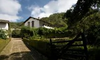 Mexico and Tequila: A Great Mix at San Sebastian del Oeste