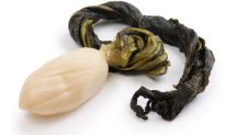 New Superfood? Japanese Pickled Turnip Could Prevent Flu
