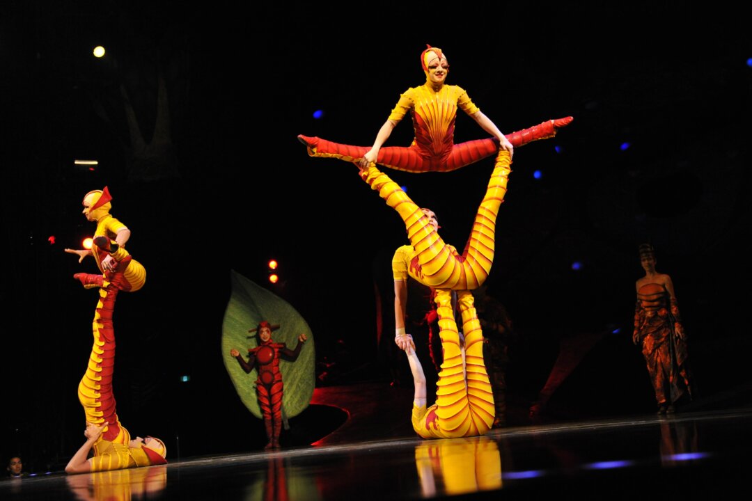 Cirque du Soleil acrobats wearing ant costumes perform at the Big Top Tent in Sydney, September 2012. The nonverbal communication between acrobats is a form of Qi. (ROMEO GACAD/AFP/GettyImages)