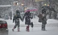 Amidst Snow, New Yorkers Muse Over Warm Tropics
