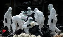 Fast-Spreading Bird Flu Causes Panic in China