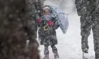 Call for NY Schools to Close Gets 27,000 ‘Likes’ on Facebook