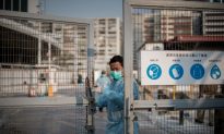Bird Flu Reappears in China, Mutations Feared