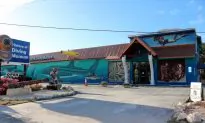 The History of Diving Museum
