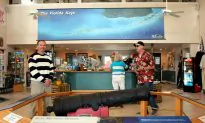 Diving Key Largo, It’s Amoray