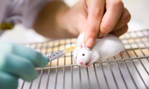 Chemical That Restores Light Vision in Mice Could Lead to New Treatment for Blindness