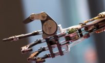 Bionic Hand Able to Feel Objects