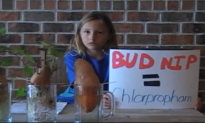 What Are We Putting in Our Food? This 9-Year-Old Girl’s Simple Science Experiment Will Shock You