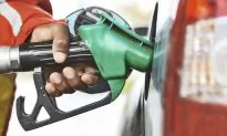 A New Way to Turn Plant Waste Into Gasoline